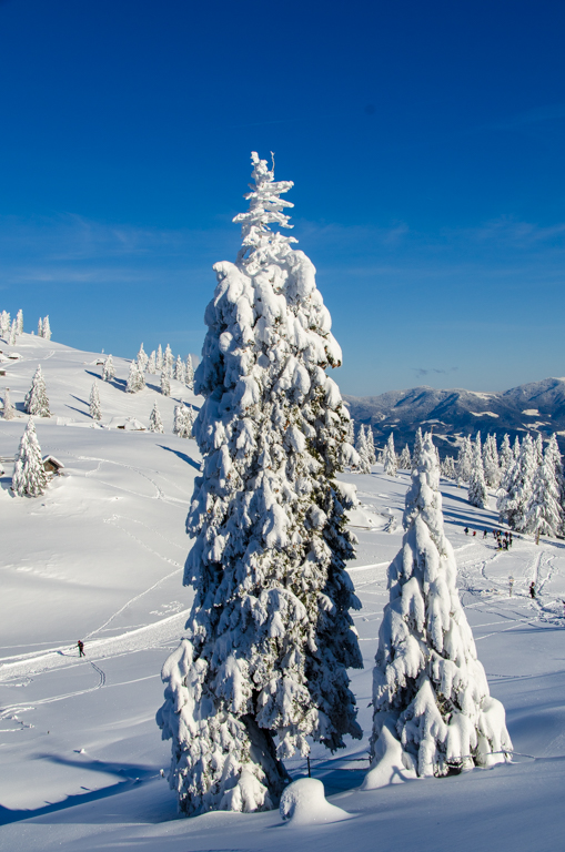 Velika Planina